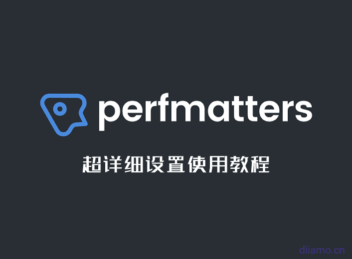 Perfmatters Setting